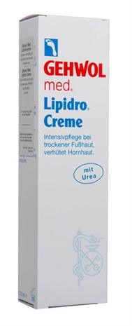 Cliquez pour agrandir
