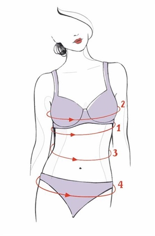 Cliquez pour agrandir