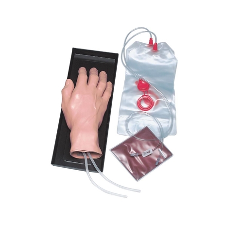 Cliquez pour agrandir