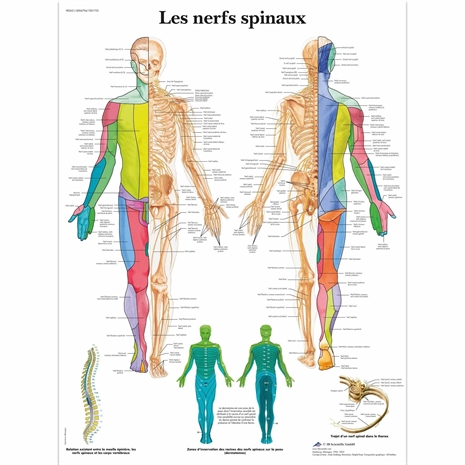 Cliquez pour agrandir